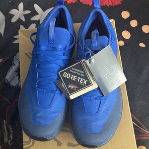 Arc'teryx Men's Vibrant Blue Sylan GTX Hike Shoes
